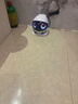 enabot EBO Air2S智能機器人全屋遠程操作移動(dòng)監控攝像頭ebo寵物機器人家庭陪伴監控 雙向視頻機器人 EBO Air 2S-32G內存 曬單實(shí)拍圖