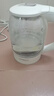 創(chuàng)維（Skyworth）【國家補貼】電熱水壺 熱水瓶 燒水壺 1.8L容量 可視高硼硅玻璃 304不銹鋼內(nèi)蓋 熱水壺 S202 曬單實拍圖