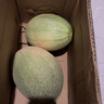 京鮮生 哈密瓜西州蜜25號 凈重6-7斤2-3粒裝 源頭直發(fā)包郵 曬單實拍圖