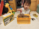 ECOEY兒童種植小盆栽玩具幼兒園創(chuàng)意diy玩具向日葵土培小學(xué)生觀察植物 超級(jí)轉(zhuǎn)運(yùn)箱-番茄 曬單實(shí)拍圖