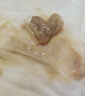 妥能藻酸鹽敷料褥瘡貼減壓壓瘡敷料貼無(wú)菌傷口敷料吸收滲液敷貼不粘 藻酸鹽敷料 2×30cm 5片/盒 曬單實(shí)拍圖