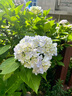 Olrain歐芮兒法式灰色針織短袖連衣裙女夏季新款收腰肌理感開(kāi)叉裙子 灰色 L 曬單實(shí)拍圖