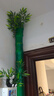 安俊晟包管道裝飾仿真綠植下水管排水管暖氣管衛(wèi)生間管道遮擋遮丑 110型3米餸20枝竹葉+熊貓 曬單實拍圖