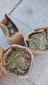 耐寒花種多年生野花組合種子四季開花不斷花籽庭院易種活室外花卉 高發(fā)芽率：混色野花組合1斤+肥 曬單實(shí)拍圖