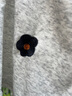普戈斯（PUGESI）灰色美式復(fù)古小花刺繡短褲男款夏季潮牌寬松慵懶風(fēng)褲子情侶五分褲 白花灰 XL 曬單實(shí)拍圖