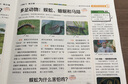 牧狼人【8/9月現貨 官方正版】大語(yǔ)文知識畫(huà)報 快樂(lè )學(xué)習報 2025秋季2026春季學(xué)期 贈知識清單 小學(xué)生少年報期刊雜志1-6年級52期全年訂閱同步課本隨課閱讀課前預習課后積累 天星教育出品非過(guò)刊K 曬單實(shí)拍圖