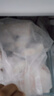蝦有蝦途帶魚段中段 新鮮冷凍海鮮 去頭去尾切段東海帶魚刀魚凈重5斤 帶魚段【5斤實(shí)惠裝】段寬4-5cm 曬單實(shí)拍圖