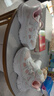 SNOOPY史努比童鞋兒童運(yùn)動(dòng)鞋夏季新款女童透氣旋轉(zhuǎn)紐扣單網(wǎng)面休閑跑步鞋 花色粉 32 碼適合腳長(zhǎng)19.2-19.7cm 曬單實(shí)拍圖