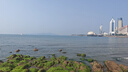 佳能（Canon）EOS 200D二代 200d2代單反相機(jī)入門(mén)單反vlog迷你單反數(shù)碼照相機(jī) 黑色200D II+18-55套機(jī) 旅游達(dá)人套餐【一年只換不修】 曬單實(shí)拍圖