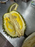 市舶士馬來西亞進口D175紅蝦榴蓮帶殼整果液氮冷凍水果樹熟榴蓮送禮 2.6-3.0斤【一人暢享保4房】 曬單實拍圖