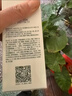 三草兩木（SASELOMO）調(diào)理養(yǎng)膚修顏霜BB霜木梨花修顏隔離霜 補(bǔ)水遮瑕粉底液情人節(jié)送老婆送女友 調(diào)理養(yǎng)膚清透修顏霜BB霜 30ml 曬單實(shí)拍圖