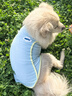 MIKI PAD大狗狗涼涼衣夏天防曬涼感衣服金毛邊牧中大型犬寵物薄款透氣背心 薄荷藍(lán)【經(jīng)典款】涼感防曬 5XL胸圍80cm（參考體重45-55斤） 曬單實(shí)拍圖