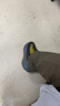 阿迪達(dá)斯 （adidas）男女YEEZY BOOST 380 椰子休閑鞋 FZ4982 棕黃 41 曬單實(shí)拍圖
