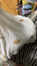 童泰（TONGTAI）嬰兒背心夏季純棉寶寶衣服護(hù)肚馬甲男女童打底內(nèi)衣提花棕色90cm 曬單實(shí)拍圖