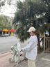 JCZS德國(guó)品牌遮陽(yáng)傘迷你膠囊傘防曬防紫外線(xiàn)雨傘女晴雨兩用超輕小巧口 淺米白-黑膠涂層晴雨兩用送 曬單實(shí)拍圖