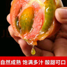 京鮮生 山東鐵皮草莓西紅柿 凈重4.5斤 單果60-150g水果番茄源頭直發(fā) 曬單實拍圖