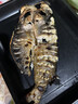 愛優(yōu)達愛優(yōu)達無煙電烤魚箱商用全自動室內(nèi)多功能餐廳智能電烤魚機燒烤爐 電烤魚箱不銹鋼發(fā)熱管-雙層380V 曬單實拍圖