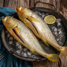 黃小漁寧德三去黃花魚600g/4條大黃魚生鮮海鮮水產(chǎn)深海魚類夜宵燒烤食材 曬單實(shí)拍圖