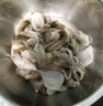 應魷盡魷鮮活冷凍小章魚三去迷你小章魚短腿小八帶火鍋麻辣小海鮮食材海鮮 小章魚 400g(凈重)  *1袋 曬單實拍圖