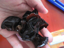 半畝川木耳150g秋木耳東北黑木耳肉厚無(wú)根木須苜蓿肉食材涼拌菜搭子 曬單實(shí)拍圖