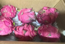 振億沭海南金都一號(hào)紅心火龍果【JD--送貨上門(mén)】應(yīng)季水果新鮮紅肉蜜寶 凈重2斤【單果180-260g】 曬單實(shí)拍圖