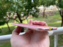 Apple iPhone 6S Plus 蘋(píng)果6splus二手手機   二手手機國行優(yōu)惠券補貼 玫瑰金 32G 曬單實(shí)拍圖