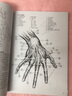 動(dòng)態(tài)素描：手部結構 曬單實(shí)拍圖