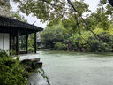 船歌魚水餃 黃花魚水餃460g/24只 健康早餐夜宵 海鮮手工速凍餃子 生鮮速食 曬單實(shí)拍圖
