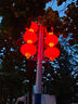 采埃孚（ZF）PEA&PIBA復(fù)合汽油添加劑燃油寶養(yǎng)護(hù)型油路清潔劑強(qiáng)力去積碳50ml 曬單實(shí)拍圖