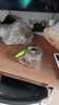 onlycook高硼硅玻璃杯帶蓋帶刻度水杯送勺子男女牛奶杯家用果汁杯-大號 曬單實拍圖