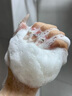 UIJO有覺防脫育發(fā)洗發(fā)水生姜控油蓬松去屑固發(fā)男女金榜第1洗頭膏露 曬單實(shí)拍圖