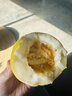 黃六爺頭茬早甜脆小蜜蜂蜜罐蜜瓜香瓜新鮮水果星甜20網(wǎng)紅甜瓜白糖罐熱賣 【5斤中果】約8~13個丨新鮮超甜 曬單實拍圖