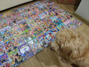 漫畫 ONE PIECE 航海王 1-110集 海賊王 尾田榮一郎 臺版漫畫書 東立出版 曬單實拍圖