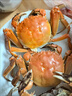 大閘蟹螃蟹滿黃新鮮特大現(xiàn)貨全公母蟹海鮮水產(chǎn)禮盒批發(fā)6-12只 【新鮮捕撈】3.5-3.0兩6只 1g 【 精美禮盒 送吃蟹禮包 曬單實拍圖