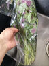 紅莧菜300g 曬單實(shí)拍圖