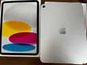 Apple/蘋(píng)果【國(guó)家補(bǔ)貼】iPad 11英寸 A16芯片2025年款 平板電腦 (256GB WLAN版/學(xué)習(xí)辦公娛樂(lè))銀色 曬單實(shí)拍圖