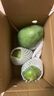 京覓四川攀枝花凱特芒 芒果凈重4.5-5斤單果400g起 新鮮水果源頭直發(fā) 曬單實(shí)拍圖