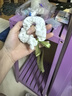 甜美少女碎花發(fā)圈超仙蝴蝶結(jié)飄帶大腸發(fā)圈可愛百搭馬尾網(wǎng)紅發(fā)繩 飄帶款隨機一個裝 曬單實拍圖