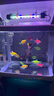 JUWEL高亮魚缸燈照明燈多功能變色led水族箱專用燈具小型燈管全光譜 燈長(zhǎng)17cm(可用20-30cm)白天拍當(dāng)天發(fā) T4雙排變色燈（單燈）USB接口 曬單實(shí)拍圖