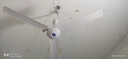 艾美特（AIRMATE）吊扇電風(fēng)扇家用客廳1.2米48吋樓頂扇大風(fēng)力吸頂電風(fēng)扇工業(yè)工廠宿舍銅芯電機(jī)風(fēng)扇 帶調(diào)速器 FZ4813 曬單實(shí)拍圖