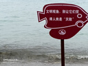 米菲Miffy經(jīng)期用衛(wèi)生巾組合裝日夜用姨媽巾蠶絲面層瞬吸透氣護(hù)墊 日用240mmx5包+夜用300mmx2包 曬單實(shí)拍圖