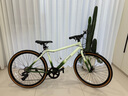 小森林WOODS自行車(chē)T100公路車(chē)24寸26寸入門(mén)變速通勤成人學(xué)生男女款單車(chē) 瓦松綠 26寸【適合身高150-165cm】 曬單實(shí)拍圖