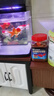 森森魚食地圖血鸚鵡專用糧不渾水增紅龜糧中小顆粒魚飼料 1000g鸚鵡飼料（2毫米） 增紅（保質(zhì)期2年） 曬單實拍圖