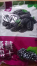 【無(wú)干燥劑凈重】新疆特產(chǎn)桑葚干黑桑椹干果泡水泡酒批發(fā)干凈無(wú)沙 桑葚干 250g 曬單實(shí)拍圖