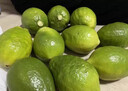 手打檸檬茶專用廣東茂名無籽香水檸檬新鮮現(xiàn)摘奶茶店同款壞果包賠 一級(jí)果70-200g 果皮青綠，瑕疵低 5斤（對(duì)大小有要求請(qǐng)備注） 曬單實(shí)拍圖