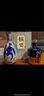 金沙摘要酒53度醬香型純糧食白酒書讀經(jīng)典紀(jì)念酒【喜酒】收藏送禮擺柜 53度 500mL 4瓶 摘要珍品 曬單實(shí)拍圖