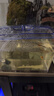 YEE孔雀魚(yú)繁殖盒斗魚(yú)魚(yú)缸隔離盒大號幼魚(yú)小魚(yú)苗孵化器亞克力魚(yú)卵產(chǎn)房 外置（雙房）+隔離板*2 曬單實(shí)拍圖