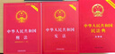 中華人民共和國民法典+憲法+刑法+法律常識(shí)一本全+經(jīng)濟(jì)常識(shí)一本全共5冊(cè) 曬單實(shí)拍圖