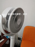 東芝（TOSHIBA）【花信風(fēng)SE】電風(fēng)扇空氣循環(huán)扇0耗材除醛直流變頻電風(fēng)扇靜音臥室超靜音一級(jí)能效F-DSC650CN(W) 曬單實(shí)拍圖