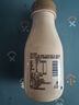 蘭格格 草原酸奶 蒙古炭燒熟酸奶210g*6 生鮮低溫老酸奶 曬單實(shí)拍圖